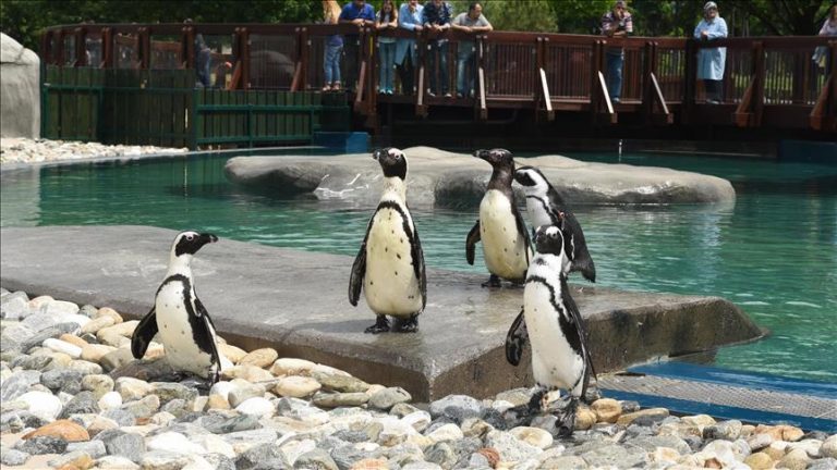 zoo istanbul turkey