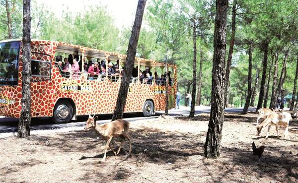 safari park istanbul