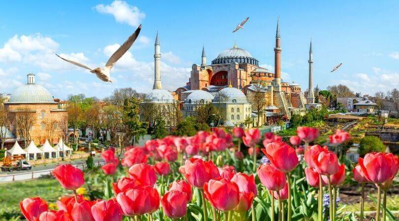 Istanbul Tulip Festival – How to Enjoy It