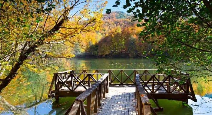 6 Best Forests of Istanbul